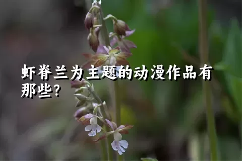 虾脊兰为主题的动漫作品有那些？