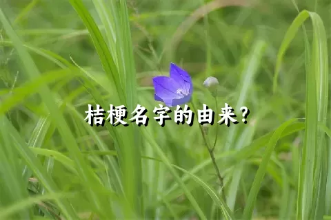 桔梗名字的由来？