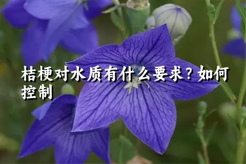 桔梗对水质有什么要求？如何控制