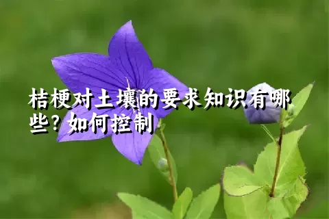 桔梗对土壤的要求知识有哪些？如何控制