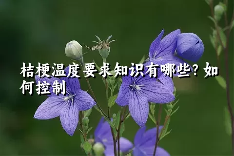 桔梗温度要求知识有哪些？如何控制