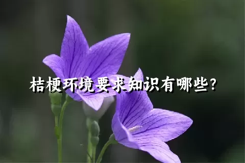 桔梗环境要求知识有哪些？