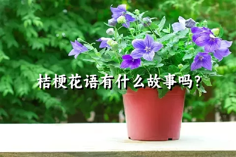 桔梗花语有什么故事吗？