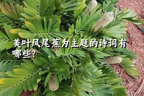 美叶凤尾蕉为主题的诗词有哪些？