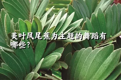 美叶凤尾蕉为主题的舞蹈有哪些？