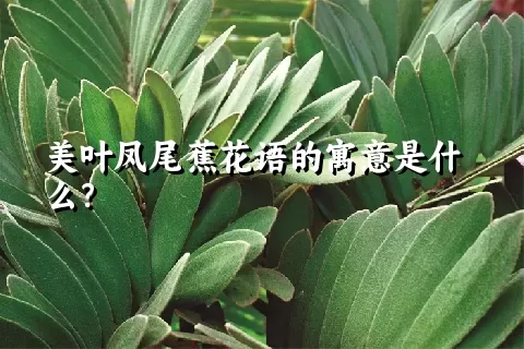 美叶凤尾蕉花语的寓意是什么？