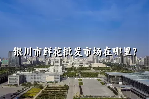 银川市鲜花批发市场在哪里？