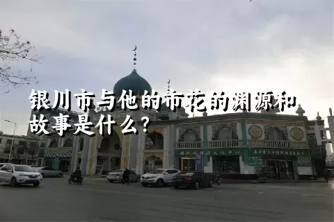 银川市与他的市花的渊源和故事是什么？