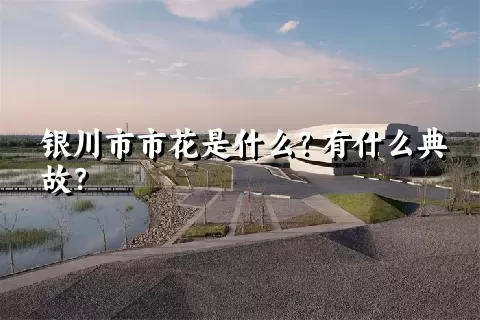 银川市市花是什么？有什么典故？