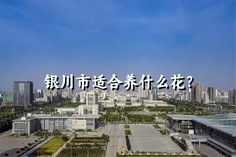 银川市适合养什么花？