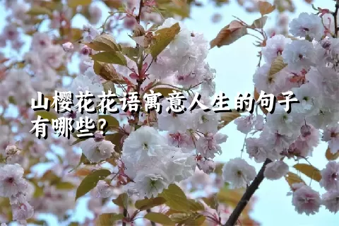 山樱花花语寓意人生的句子有哪些？