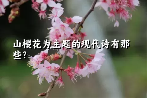 山樱花为主题的现代诗有那些？