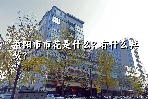 益阳市市花是什么？有什么典故？