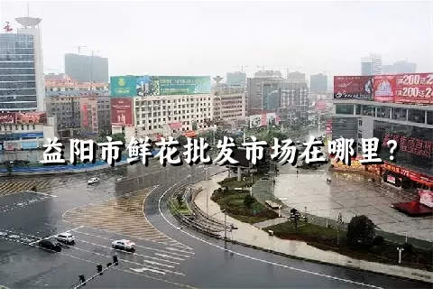 益阳市鲜花批发市场在哪里？