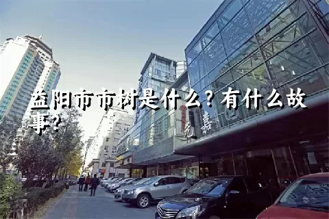 益阳市市树是什么？有什么故事？