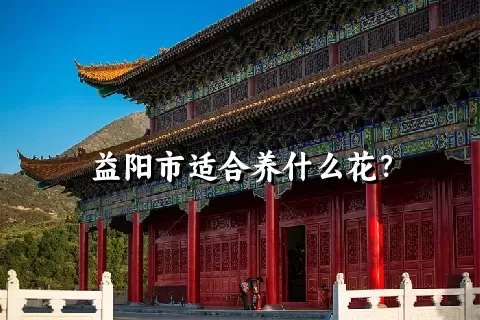 益阳市适合养什么花？