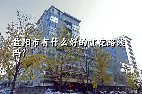 益阳市有什么好的赏花路线吗？