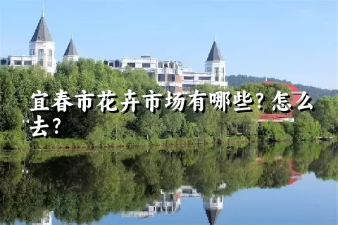 宜春市花卉市场有哪些？怎么去？