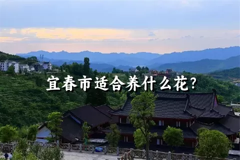 宜春市适合养什么花？