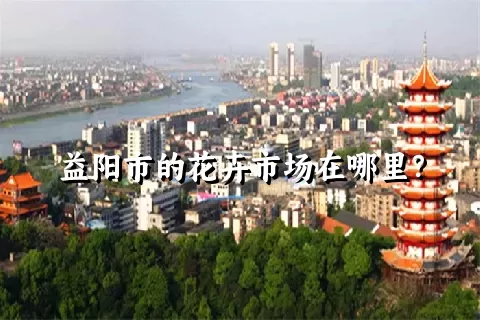 益阳市的花卉市场在哪里？