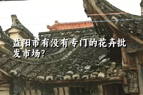 益阳市有没有专门的花卉批发市场？