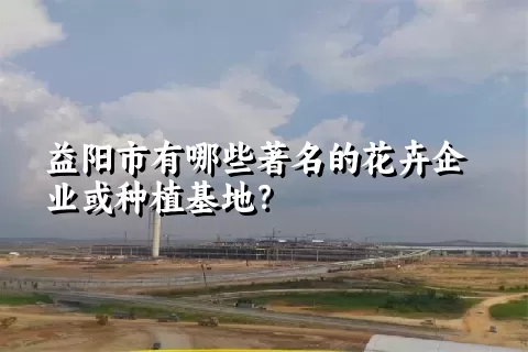 益阳市有哪些著名的花卉企业或种植基地？