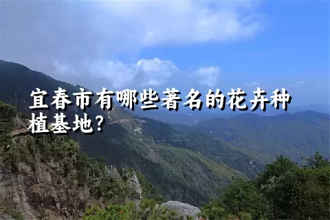 宜春市有哪些著名的花卉种植基地？