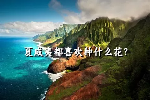 夏威夷都喜欢种什么花？