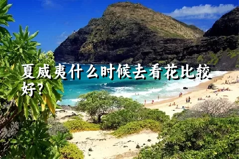 夏威夷什么时候去看花比较好？