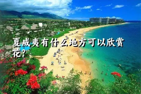 夏威夷有什么地方可以欣赏花？