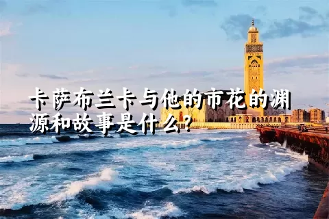 卡萨布兰卡与他的市花的渊源和故事是什么？