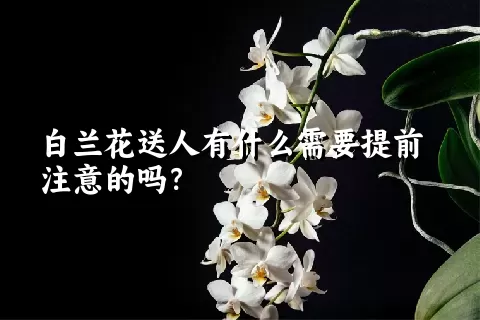 白兰花送人有什么需要提前注意的吗？