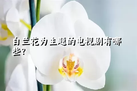 白兰花为主题的电视剧有哪些？