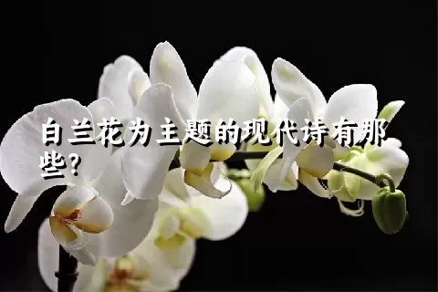 白兰花为主题的现代诗有那些？