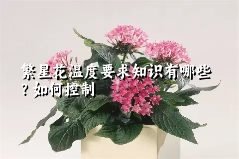 繁星花温度要求知识有哪些？如何控制