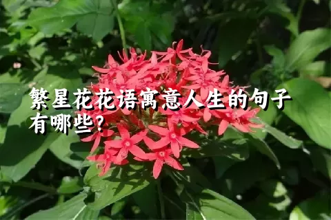 繁星花花语寓意人生的句子有哪些？