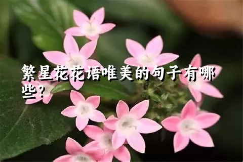 繁星花花语唯美的句子有哪些？