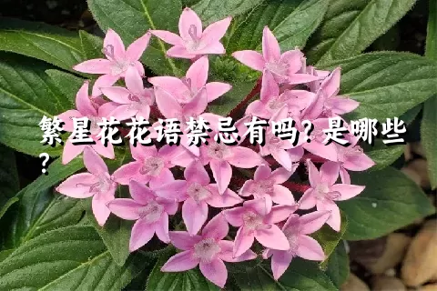 繁星花花语禁忌有吗？是哪些？