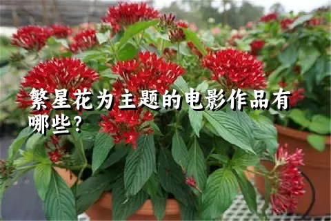 繁星花为主题的电影作品有哪些？