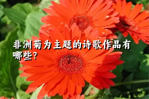 非洲菊为主题的诗歌作品有哪些？