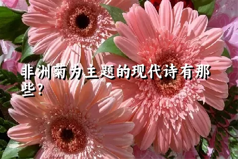 非洲菊为主题的现代诗有那些？