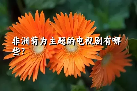 非洲菊为主题的电视剧有哪些？