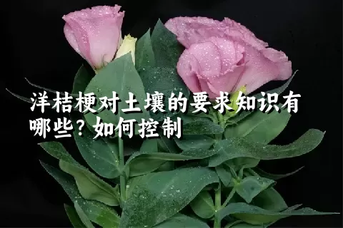 洋桔梗对土壤的要求知识有哪些？如何控制