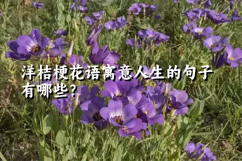 洋桔梗花语寓意人生的句子有哪些？