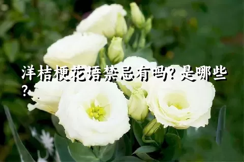 洋桔梗花语禁忌有吗？是哪些？