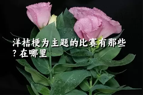 洋桔梗为主题的比赛有那些？在哪里