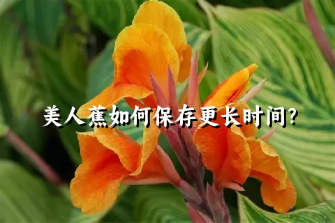 美人蕉如何保存更长时间？