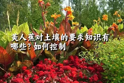 美人蕉对土壤的要求知识有哪些？如何控制