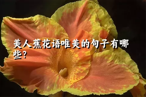 美人蕉花语唯美的句子有哪些？