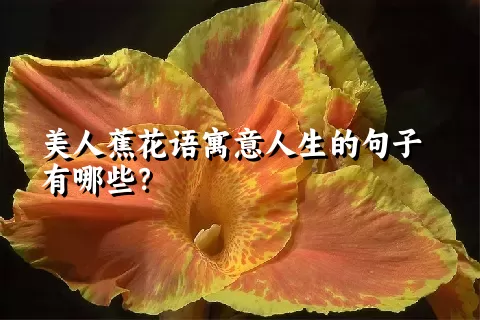 美人蕉花语寓意人生的句子有哪些？